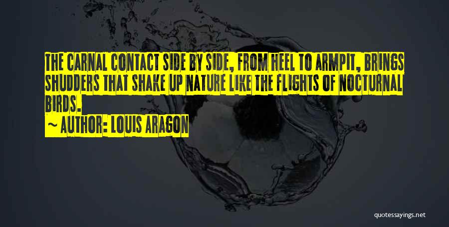 Louis Aragon Quotes 1137562