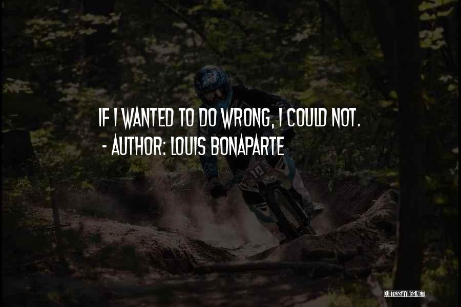 Louis Bonaparte Quotes 818803