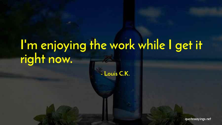 Louis C.K. Quotes 1324806