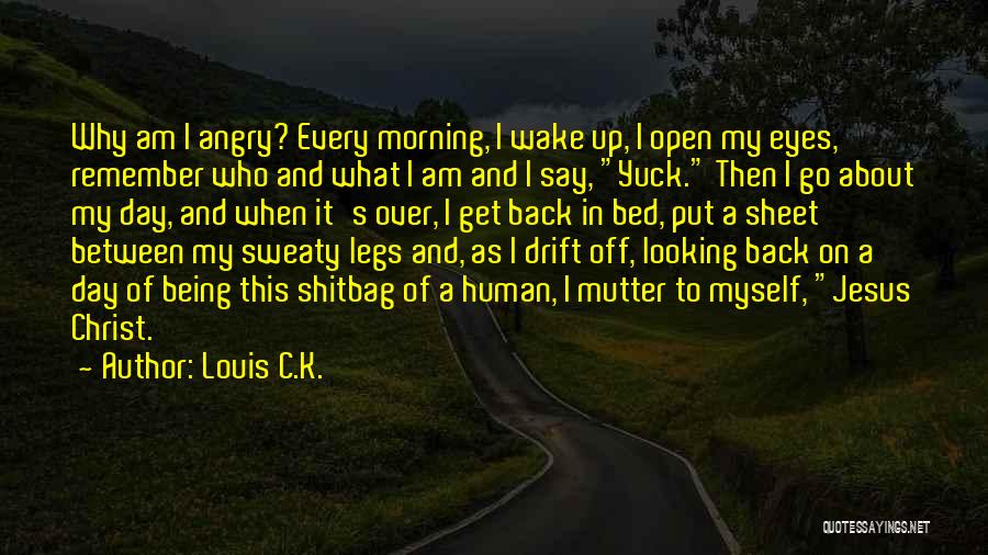 Louis C.K. Quotes 1518542