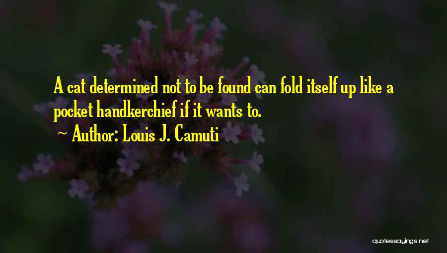 Louis Camuti Quotes By Louis J. Camuti Louis Camuti Quotes By Louis J. Camuti