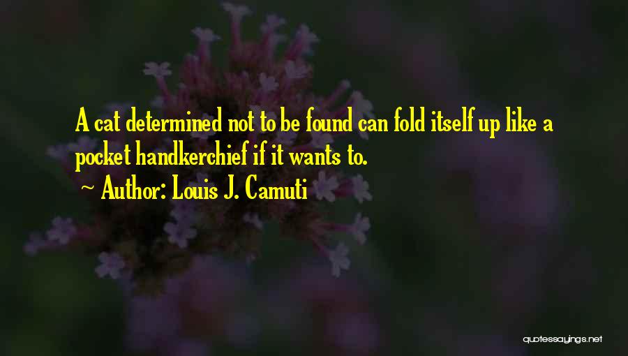 Louis Camuti Quotes By Louis J. Camuti