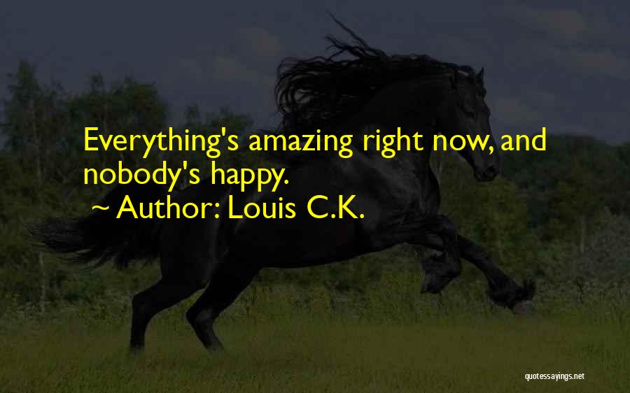 Louis Ck Quotes By Louis C.K.