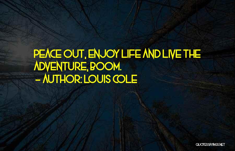 Louis Cole Quotes 1324140