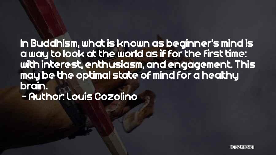 Louis Cozolino Quotes 1473275