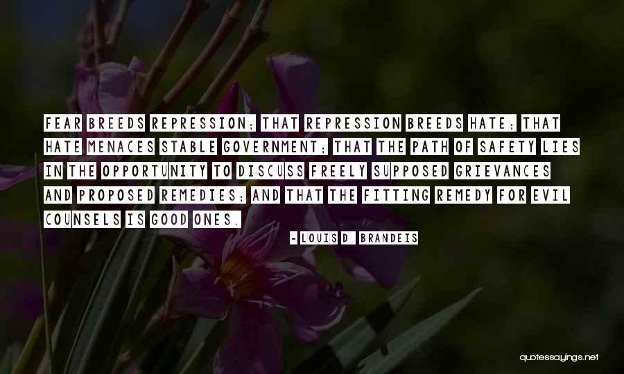 Louis D. Brandeis Quotes 1447530 Louis D. Brandeis Quotes 1447530