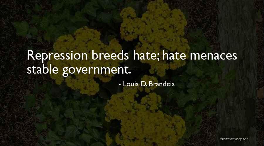 Louis D. Brandeis Quotes 1571822