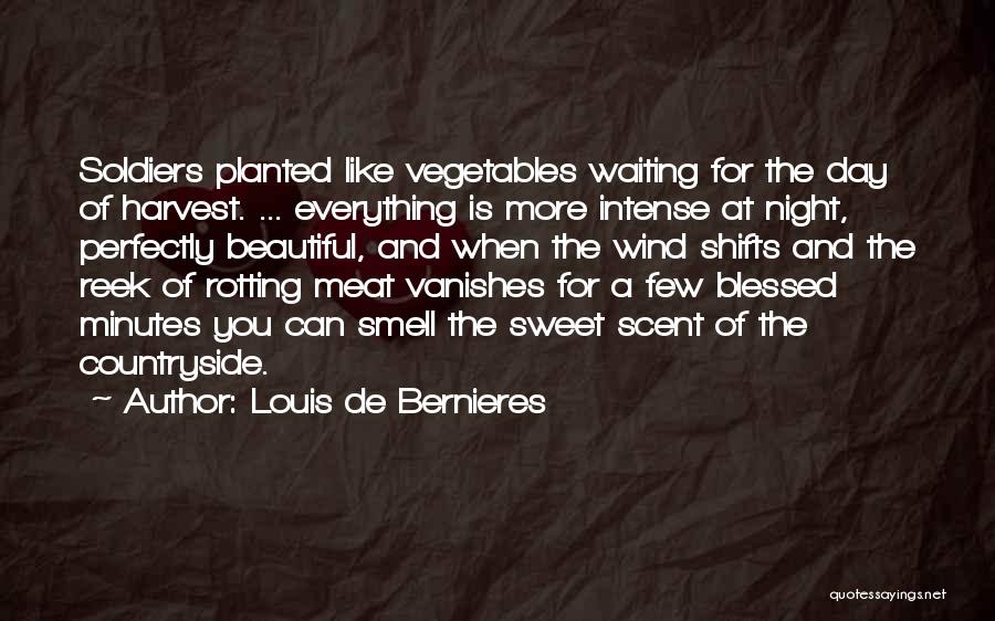 Louis De Bernieres Quotes 533476