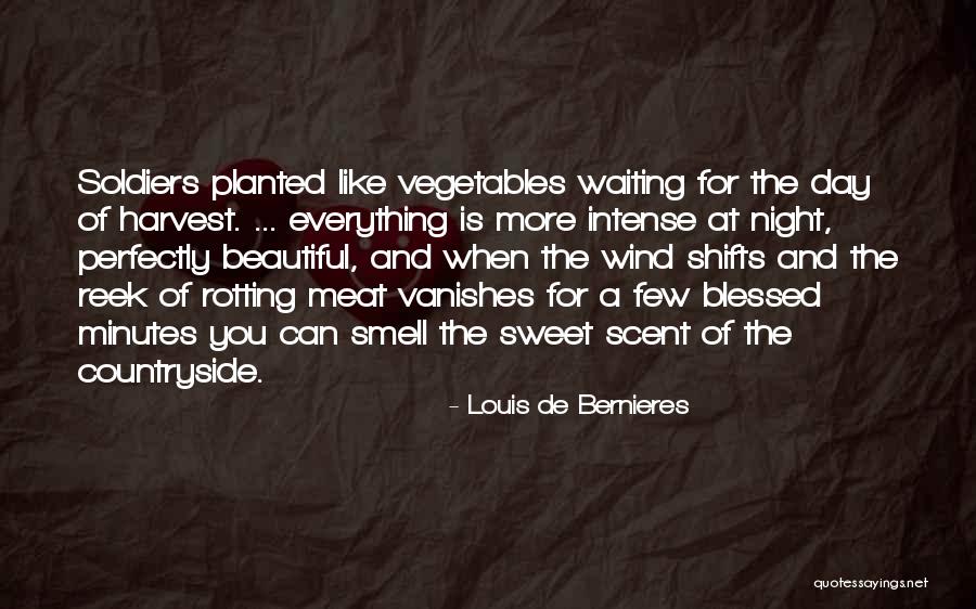 Louis De Bernieres Quotes 533476 Louis De Bernieres Quotes 533476