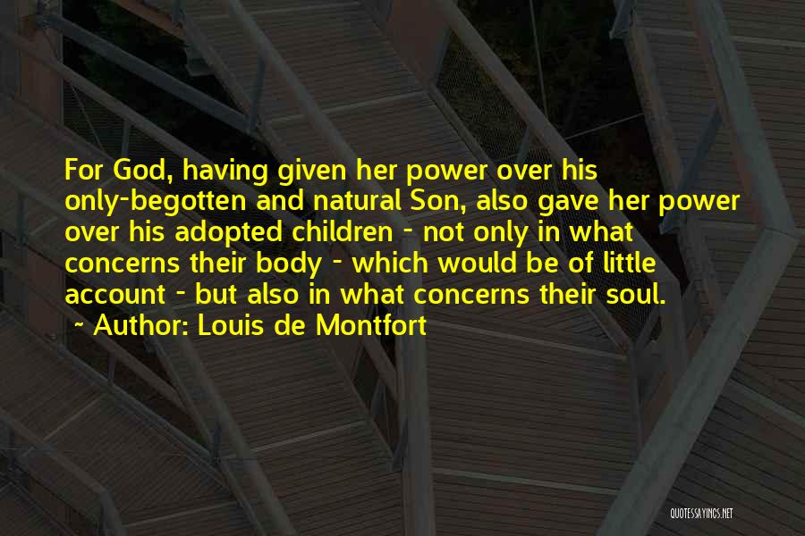 Louis De Montfort Quotes 405367