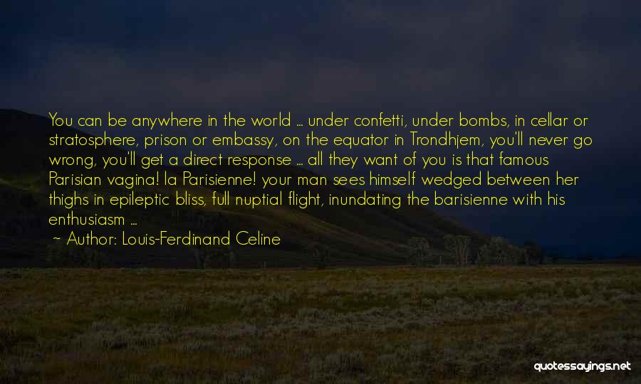 Louis-Ferdinand Celine Quotes 1659256