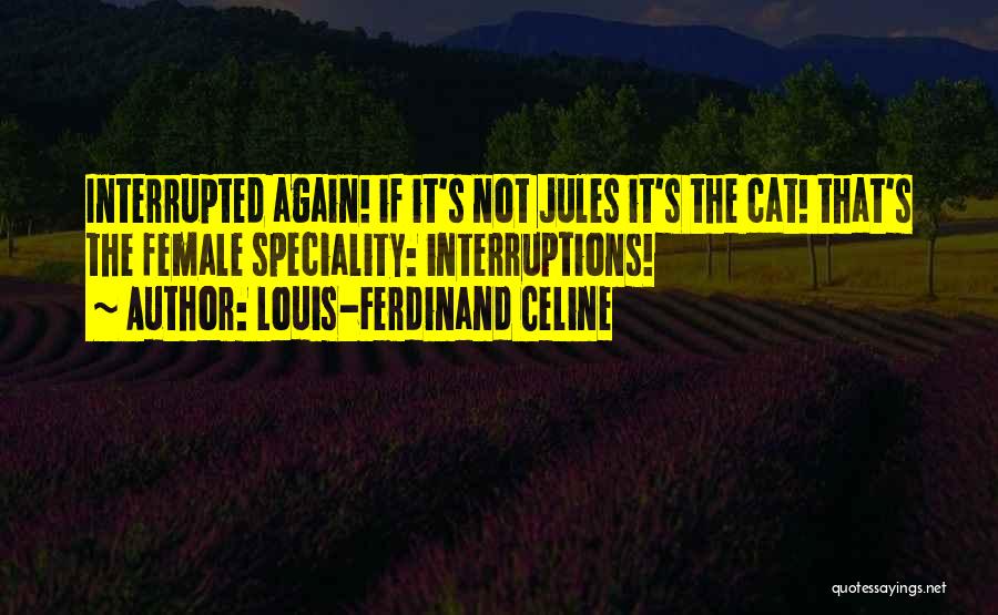 Louis-Ferdinand Celine Quotes 1703388