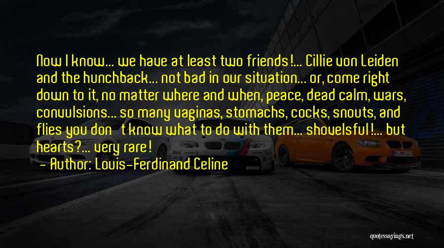 Louis-Ferdinand Celine Quotes 1858880