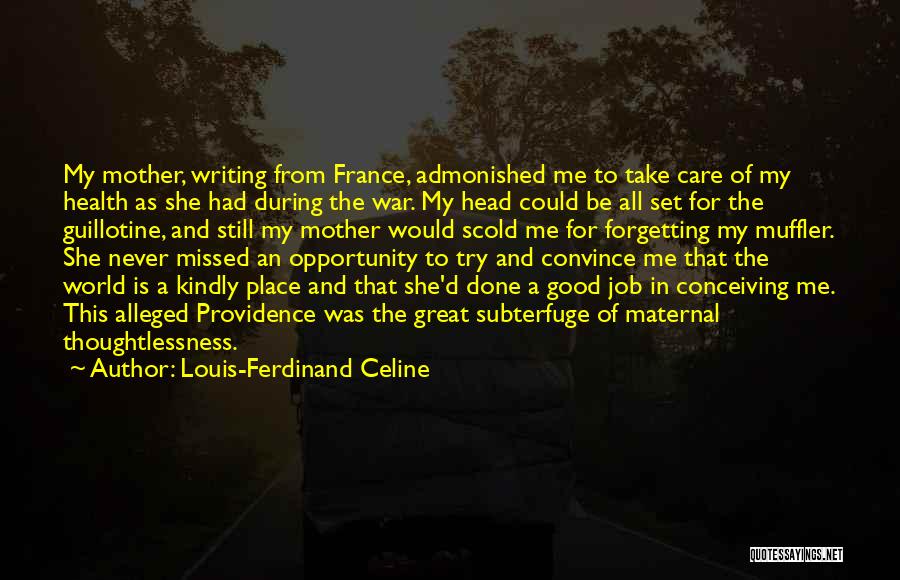 Louis-Ferdinand Celine Quotes 2059380