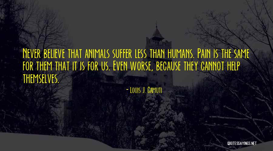 Louis J. Camuti Quotes 2180178 Louis J. Camuti Quotes 2180178