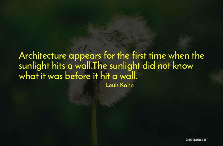 Louis Kahn Quotes 1395264