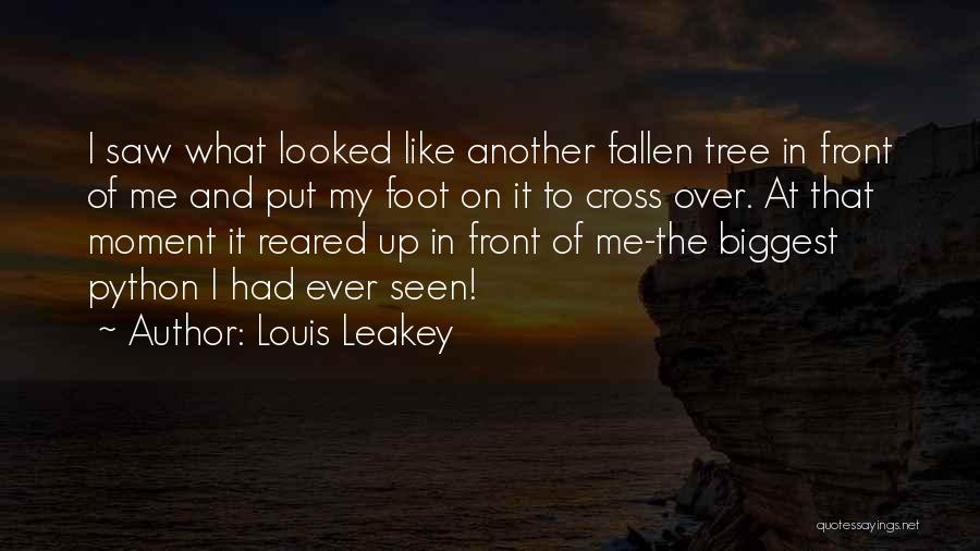 Louis Leakey Quotes 1407039