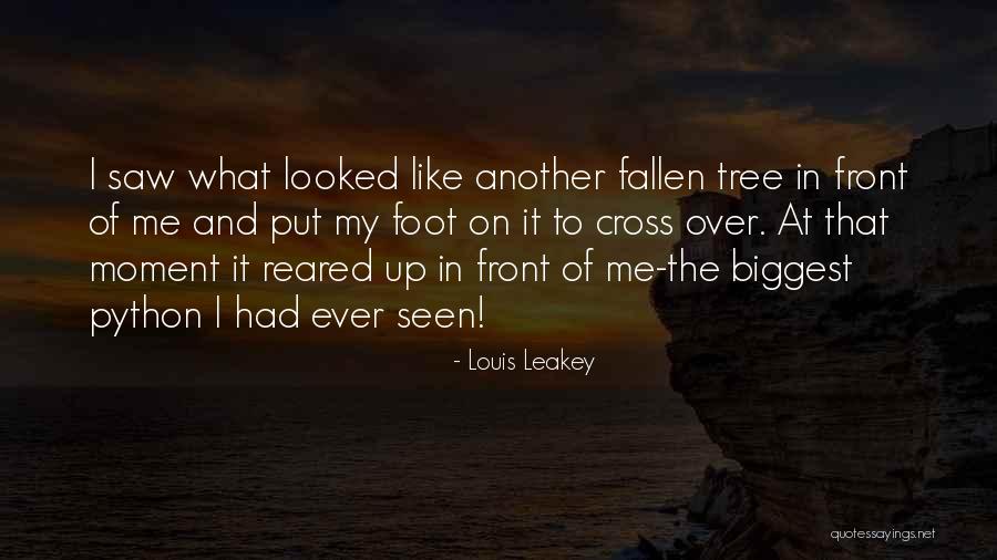 Louis Leakey Quotes 1407039