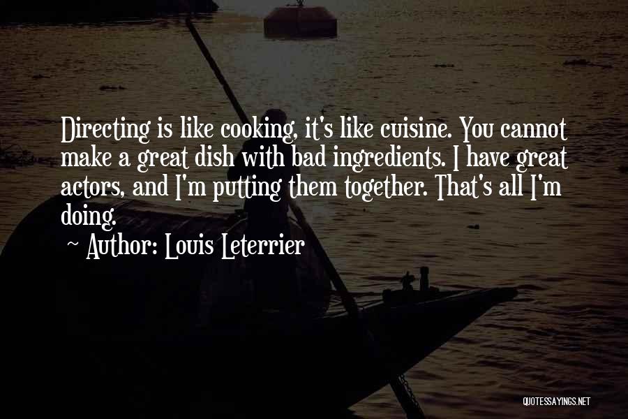 Louis Leterrier Quotes 1112669