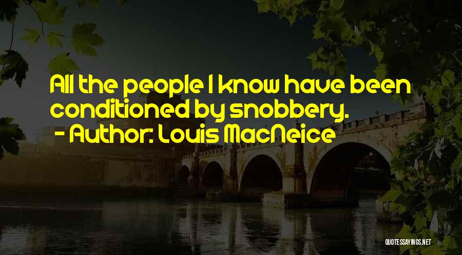 Louis MacNeice Quotes 1295667