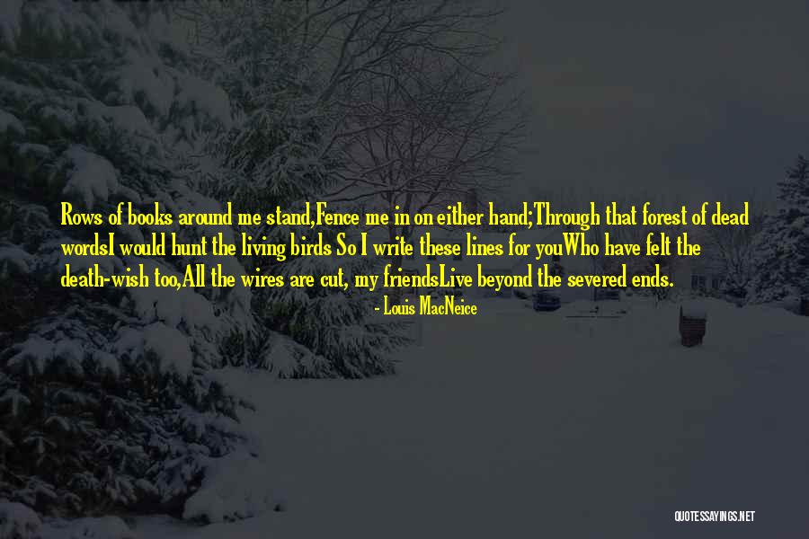 Louis MacNeice Quotes 136087