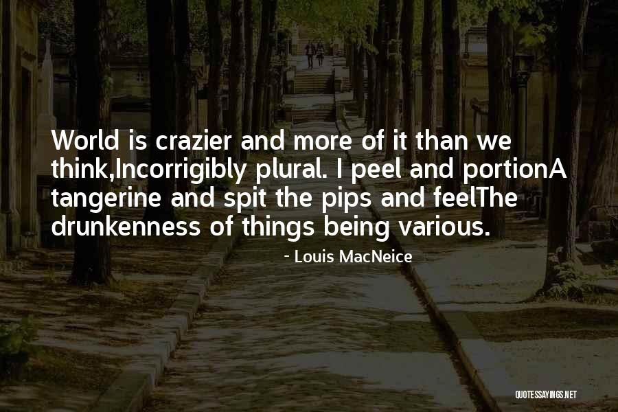 Louis MacNeice Quotes 223528