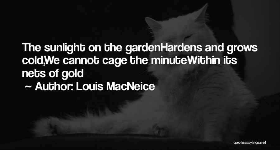 Louis MacNeice Quotes 620896