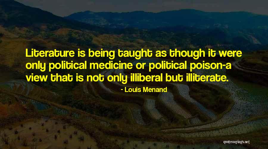 Louis Menand Quotes 2056521