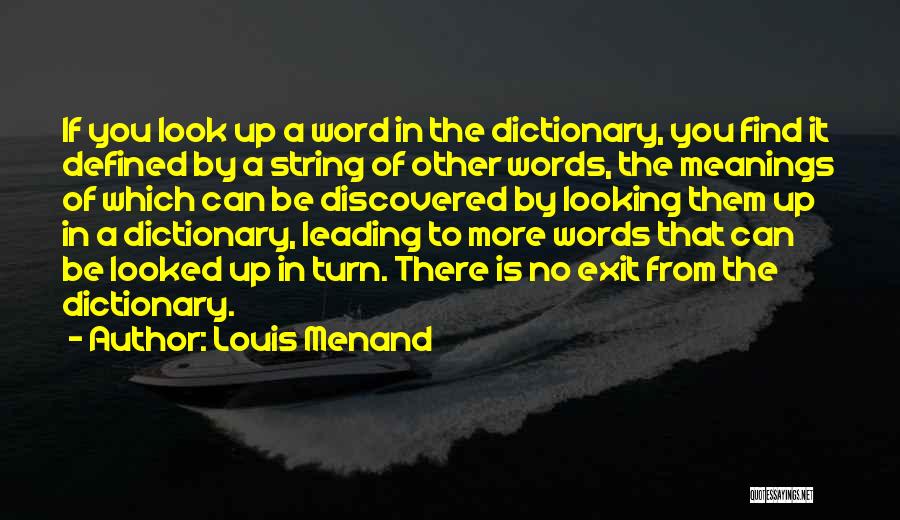 Louis Menand Quotes 638105