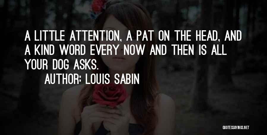 Louis Sabin Quotes 511023