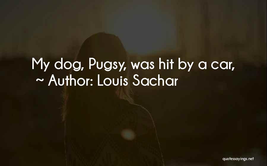 Louis Sachar Quotes 1140250