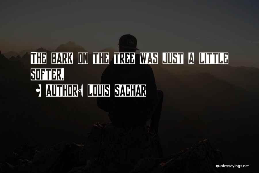 Louis Sachar Quotes 1817122