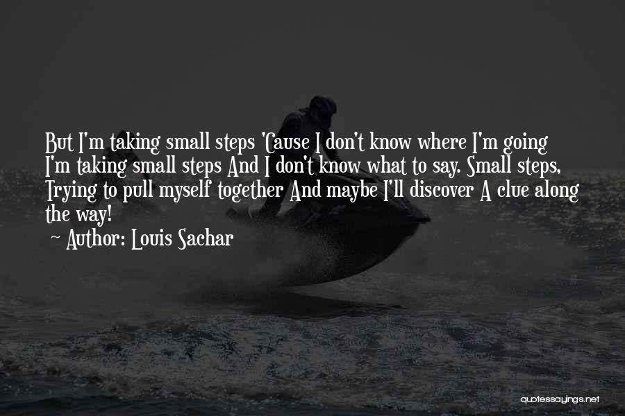 Louis Sachar Quotes 2133476