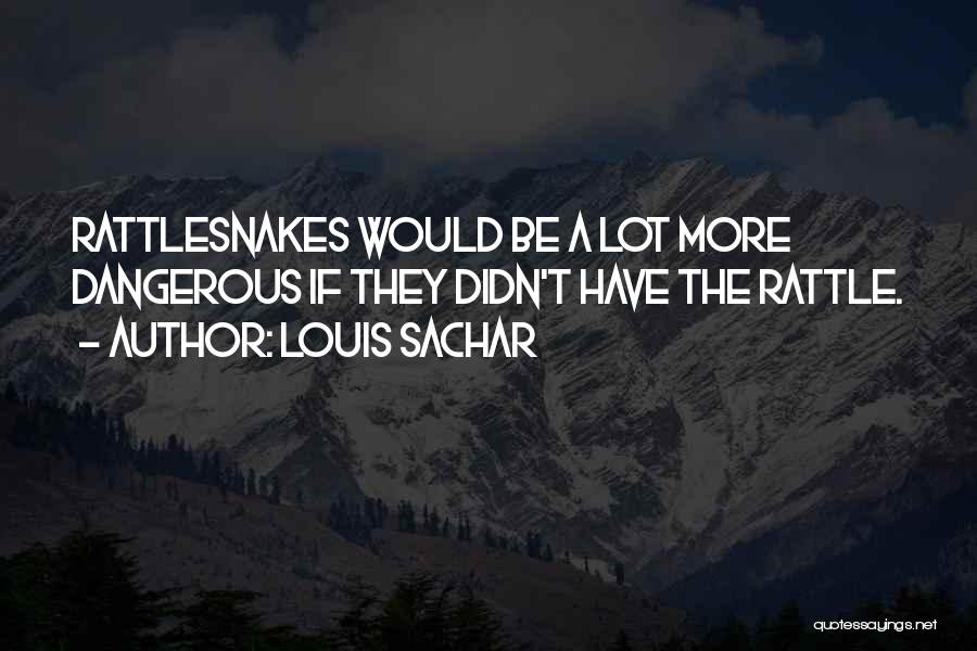 Louis Sachar Quotes 705502