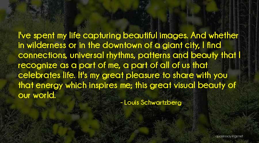 Louis Schwartzberg Quotes 337078