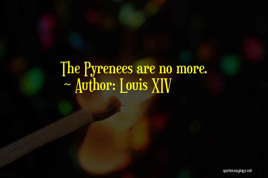 Louis XIV Quotes 2150985
