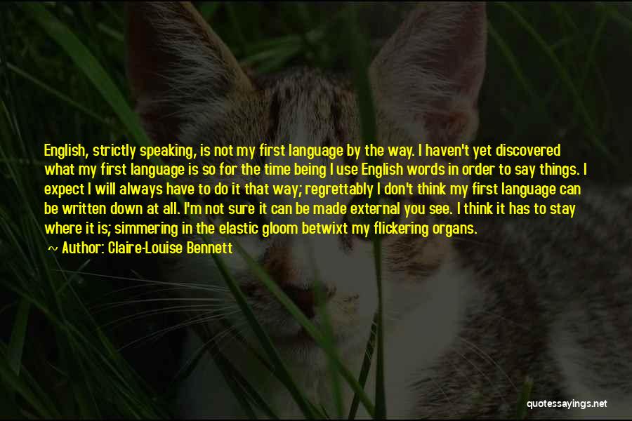 Louise Bennett Quotes By Claire-Louise Bennett