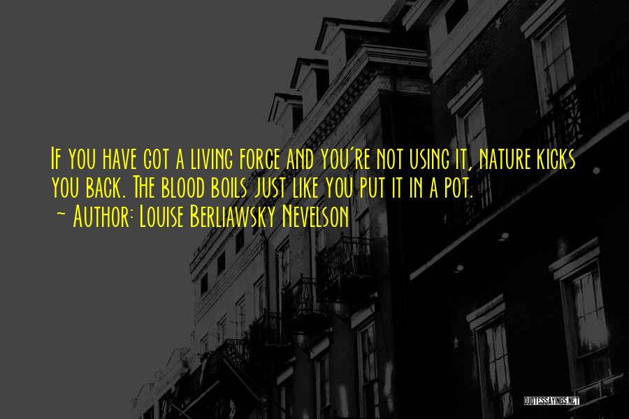 Louise Berliawsky Nevelson Quotes 570925