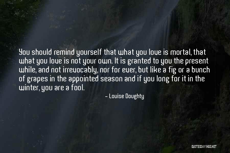 Louise Doughty Quotes 249809