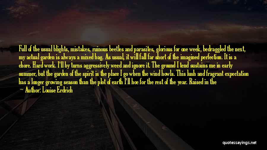 Louise Erdrich Quotes 1043504