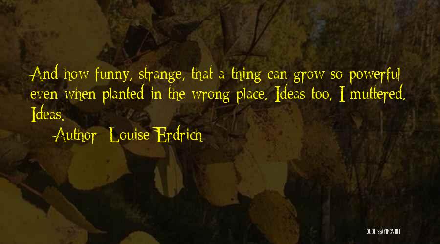 Louise Erdrich Quotes 1206210
