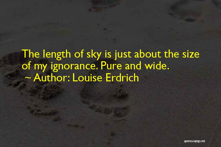 Louise Erdrich Quotes 1248522