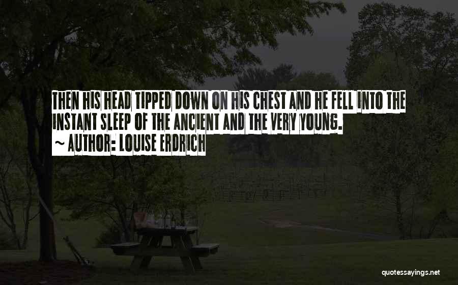 Louise Erdrich Quotes 2231035