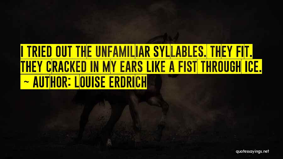 Louise Erdrich Quotes 376382