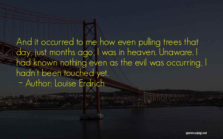 Louise Erdrich Quotes 875868