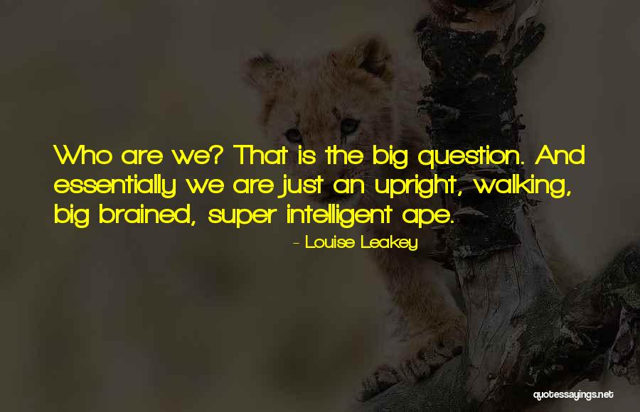 Louise Leakey Quotes 1842252