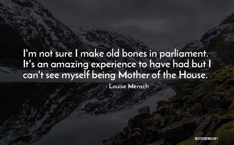 Louise Mensch Quotes 1732786