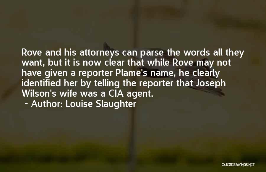 Louise Slaughter Quotes 1010075