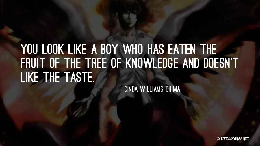 Louiselle Quotes By Cinda Williams Chima Louiselle Quotes By Cinda Williams Chima