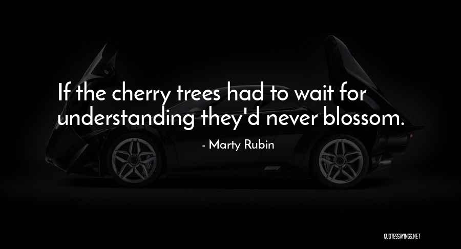 Louiselle Quotes By Marty Rubin Louiselle Quotes By Marty Rubin